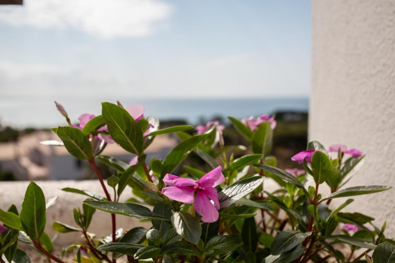 Coral By Albufeira Rental מראה חיצוני תמונה